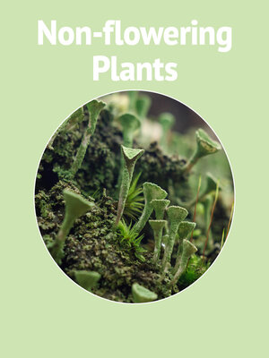 cover image of Non-Flowering Plants